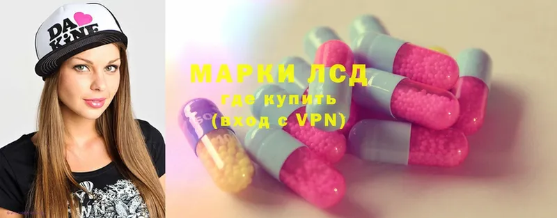 ЛСД экстази ecstasy  купить наркоту  hydra ссылки  Тайга 