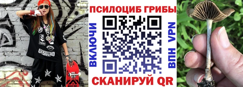 Псилоцибиновые грибы MAGIC MUSHROOMS  купить наркотик  Тайга 